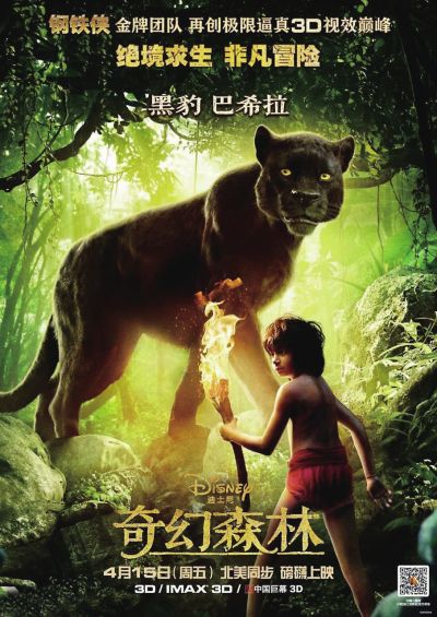 做个假黑山护照